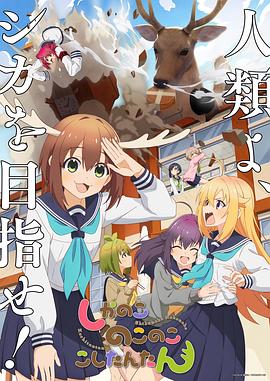 无处寻觅